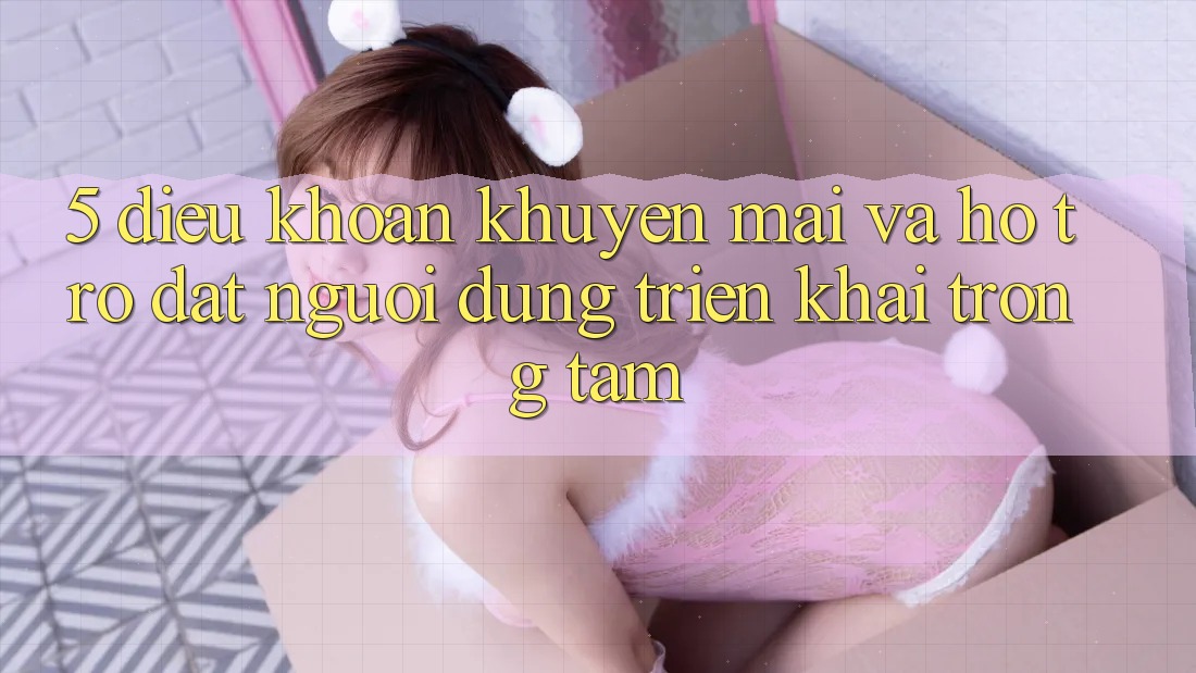 5. Điều khoản Khuyến Mãi Và Hỗ trợ: Đặt Người dùng Triển khai Trọng Tâm