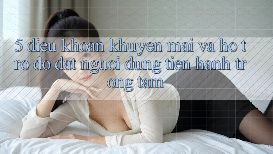 5. Điều khoản Khuyến Mãi Và Hỗ trợ đỡ: Đặt Người dùng Tiến hành Trọng Tâm