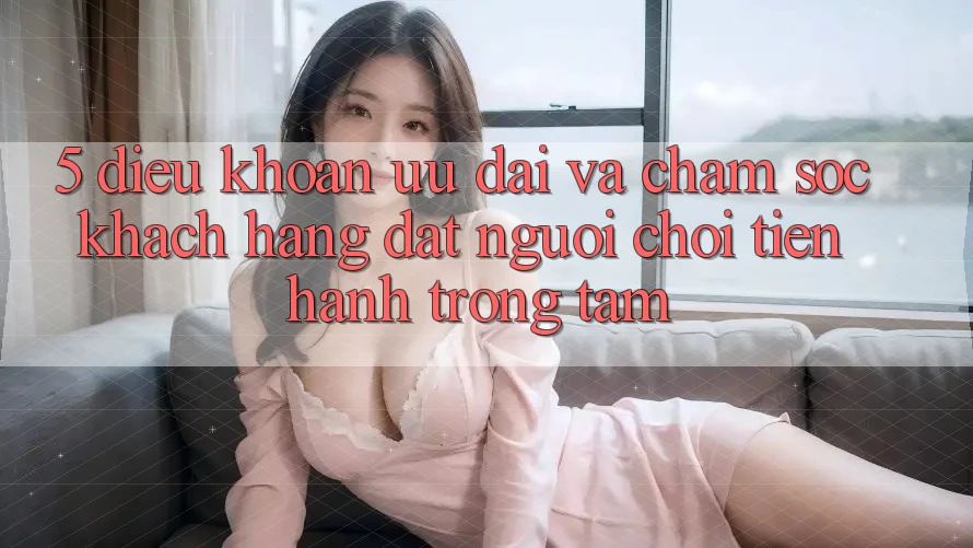 5. Điều khoản Ưu đãi Và Chăm Sóc Khách Hàng: Đặt Người Chơi Tiến hành Trọng Tâm