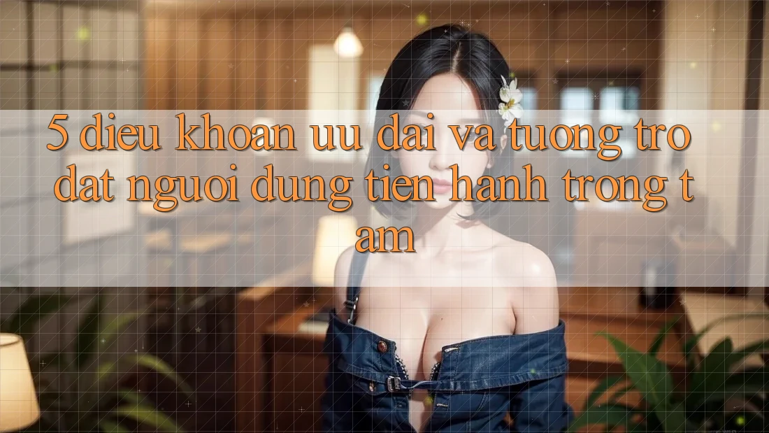 5. Điều khoản Ưu đãi Và Tương trợ: Đặt Người dùng Tiến hành Trọng Tâm
