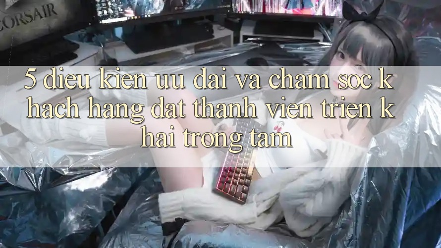 5. Điều kiện Ưu đãi Và Chăm Sóc Khách Hàng: Đặt Thành viên Triển khai Trọng Tâm