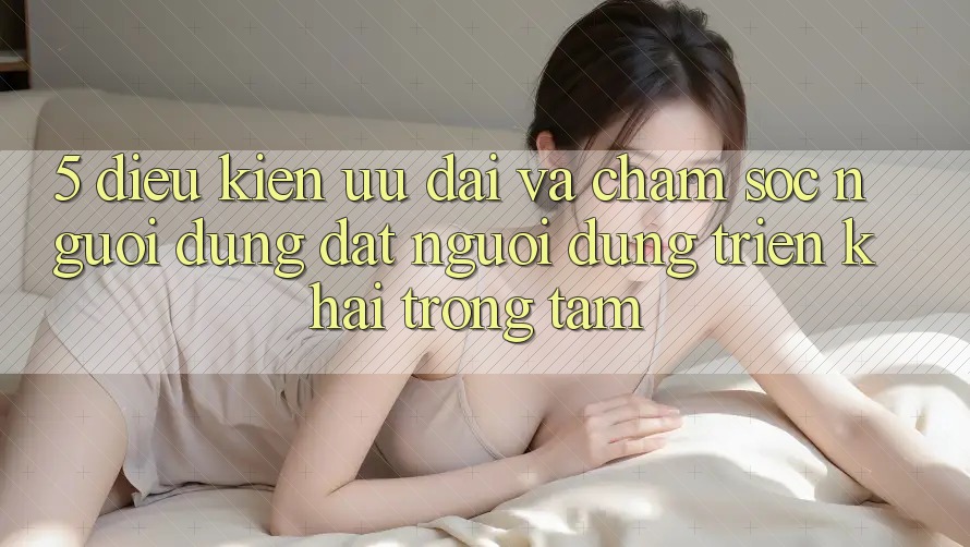 5. Điều kiện Ưu đãi Và Chăm Sóc Người dùng: Đặt Người dùng Triển khai Trọng Tâm