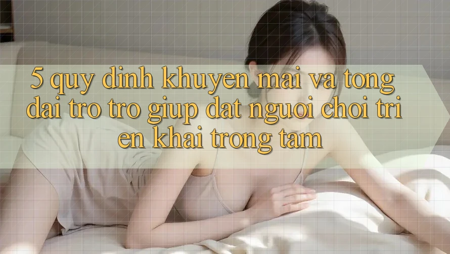 5. Quy định Khuyến Mãi Và Tổng đài trợ trợ giúp: Đặt Người Chơi Triển khai Trọng Tâm