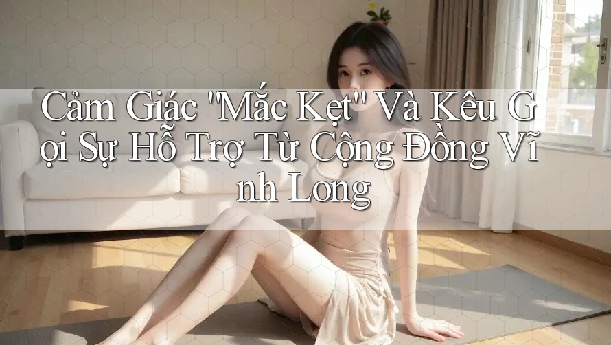 Cảm Giác “Mắc Kẹt” Và Kêu Gọi Sự Hỗ Trợ Từ Cộng Đồng Vĩnh Long
