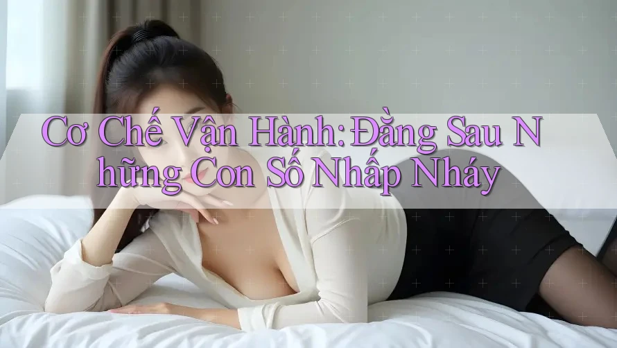 Cơ Chế Vận Hành: Đằng Sau Những Con Số Nhấp Nháy
