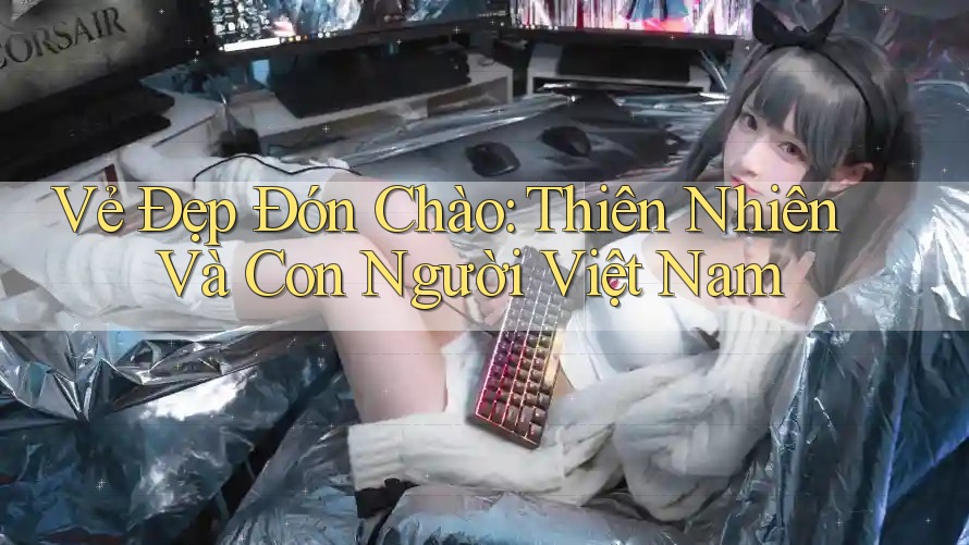Vẻ Đẹp Đón Chào: Thiên Nhiên Và Con Người Việt Nam